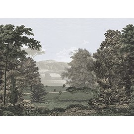 Erin & Ben Co. PSW1456M Morning Light Scenic Pastures Premium Peel and Stick Wall Mural