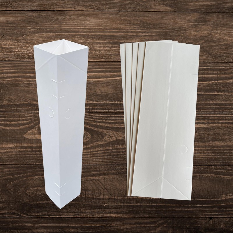 Anne Yellow Raspberry Plants - Raspberry Supports Included! - Bare