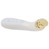Facial Beauty Massager Hot Compress Vibration EMS Microcurrent Skin Tightening