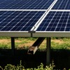 Pack of 10 Solar Panel Water Drain Clips 30 mm,