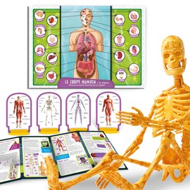 Lisciani - I'm A Genius - Discovery of the Human Body for Children from 7 Years - Set Scientific Experiments - Anatomy Learning with Fun - Educational Game - Made in Italy