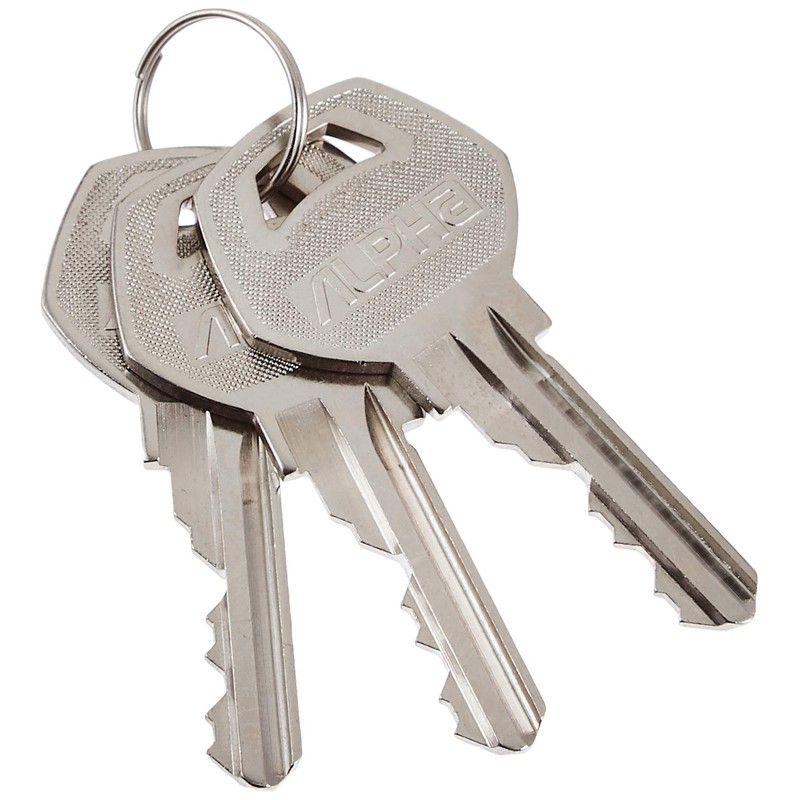 Alpha 9FD8306500 Pin Tumbler Replacement Lock, Silver 33KN-TRW-32D-1