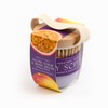 Tropical Fruits Gentle Exfoliating Sugar Scrub & Brush Mango and