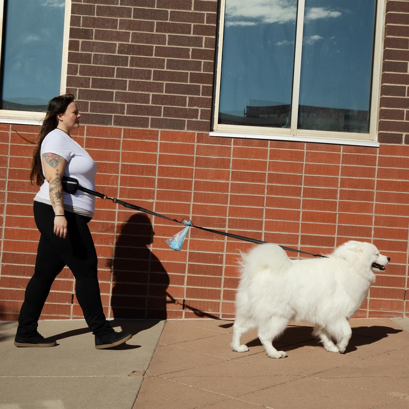 Gingeroo Hands Free Dog Leash