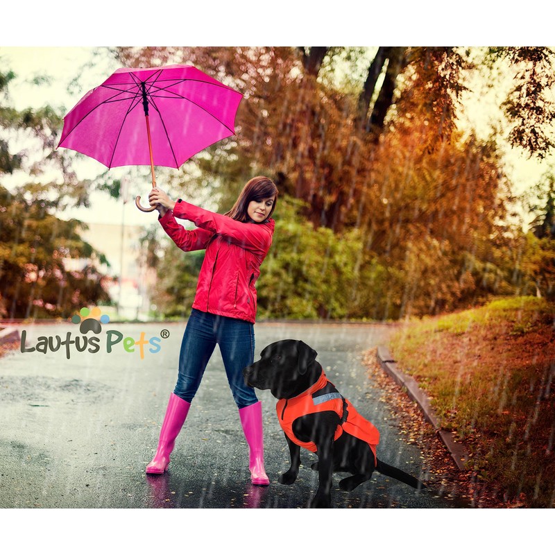 Lautus Pets Dog Rain Coat - Waterproof, Reflective, Bright Orange