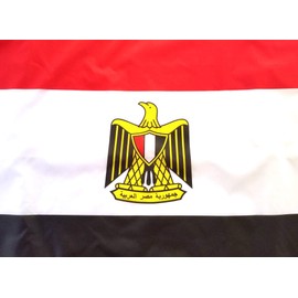 High Supply 3x5 Egypt Flag with Two Brass Grommets and Double Stitched Edges for Extra Strength Egyptian Flag 3x5 Foot Flag of Egypt