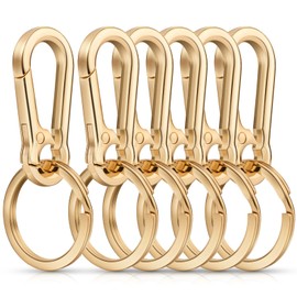 LEBATSION 6pcs Metal Keyring Key Chain Key Ring KeyChains Clip Key Chain Organizer for Home, Car, Key Finder (Gold)