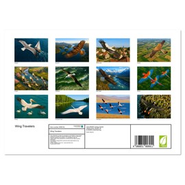 Wing Travelers (Monthly Wall Calendar 2026 11.7" x 16.5" (open)), CALVENDO 14 Month Calendar