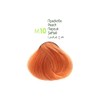 MM Beauty Permanent Hair Colour MM Beauty Phyto & Colour