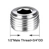 Joywayus 2Pcs Stainless Steel Internal Hex Countersunk Thread Socket Pipe