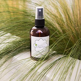 Air Plant Food - Ready to Use Fertilizer