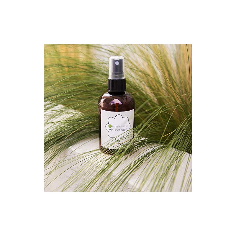 Air Plant Food - Ready to Use Fertilizer