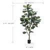 Petals Single Trunk Fiddle Leaf Fig Silk Tree (5 Foot)