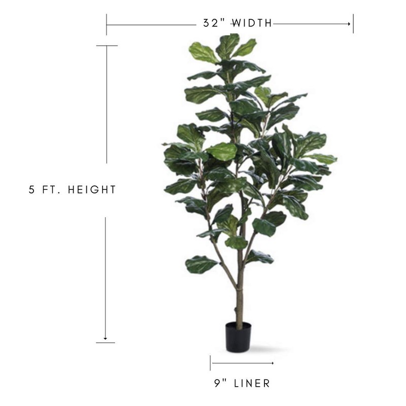 Petals Single Trunk Fiddle Leaf Fig Silk Tree (5 Foot)