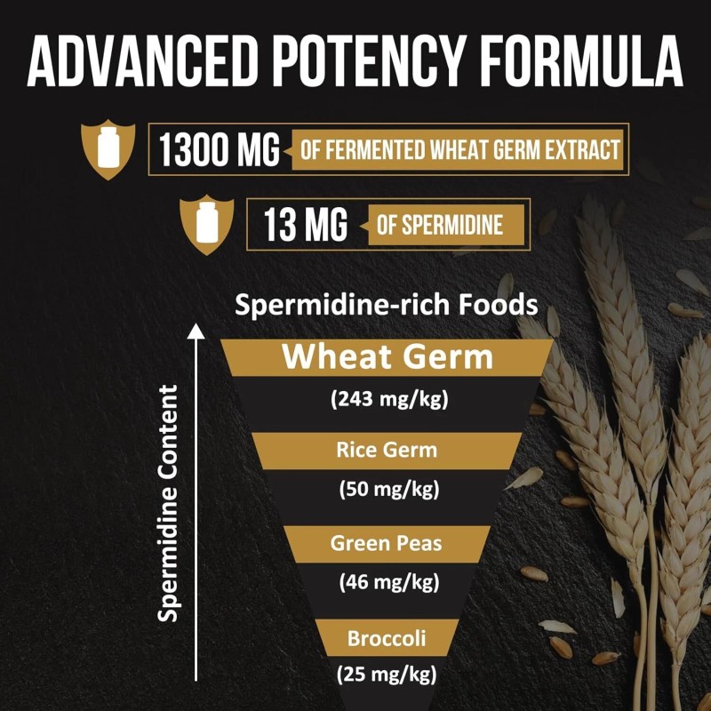 Thalacy 60 Count 13Mg Spermidine Formula Fermented Wheat Germ Extract