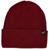 C.C Beanie Hat with Sherpa Lining for Men and Women,