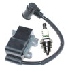 Coil Ignition With Spark Plug BM6A For Echo Blower ES-255