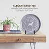 Plate Holder Easel Display Stand - 3 inch Metal Plate