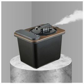 amocane Sauna Steamer Pot, 4L Portable Steam Generator for Saunas Home Spa Fumigation Steam Machine with Remote Control Anti-riot Device, Portable Sauna Steamer for Sauna Accessories