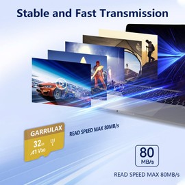 GARRULAX TF Memory Card with SD Adapter, High Speed Card Class 10 V30 U3 A1 Memory Card 4K UHD for Phone Camera Computer (1 PCS, 16 GB)