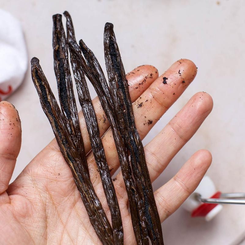 Gneiss Spice DIY Vanilla Extract Kit - Certified Organic &