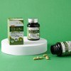 트리플징코플러스 1병 복수구매할인 Triple Ginkgo Plus 1 Bottle Bulk Purchase