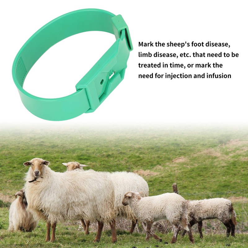 10Pcs Goat Collar Sheep Identification Bands Livestock Marking Ring Farming