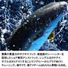 ダイワ(DAIWA) ショアジギングフック シングル #1 サクサス