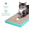 Kitty City Cat Premium Natural Catnip Collection, Catnip Tin