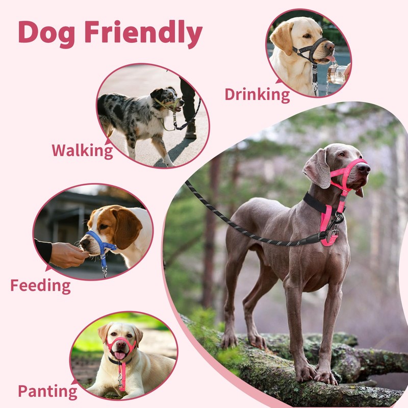 BARKLESS Sturdy No Pull Head Collar for Medium Large Dogs,
