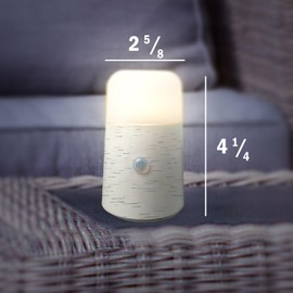 Flipo Motion Sensor LED Night Light - Wireless Battery Operated Motion Activated Portable Table Lamp with Soft Glow for Bedroom, Bathroom, Closet, Hallway, Nursery, Kitchen, Cabinets (Birch Wood)