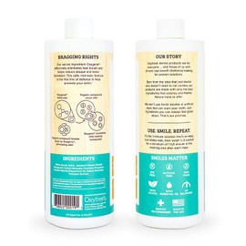 Oxyfresh Fresh Breath Fresh Mint Mouthwash – Dentist Recommended for Long-Lasting Fresh Breath & Healthy Gums | Alcohol & Fluoride Free (1-16 oz Bottle)