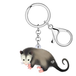 LONYOO Acrylic Opossum Keychain Anime Possum Jewelry for Women Girls Possum Gifts Car Key Wallet Keyring (Black 233)