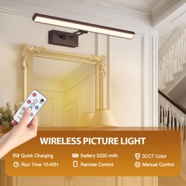 HOWMZON Picture Light,17.5" Picture Frame Light,Art Light, Picture Light Battery Operated,3CCT Picture Lights for Wall,Wireless Picture Lights with Remote for Wall Display, Photo,Library (Bronze)