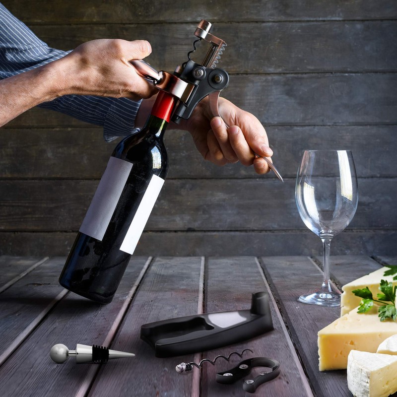 Wine Bottle Opener Corkscrew Set – Luxiluxy [2024 upgraded, does