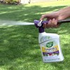 Garden Safe BrandFungicide3 Concentrate, Ready-to-Spray, 28-Ounce