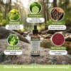 Red Yeast Rice Drops - Cholesterol Support Blend with Citrus,