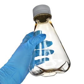 Eisco - Pack of 1, 500mL Sterile Polycarbonate Erlenmeyer Flask, Non-Vented, Baffled Bottom, Gamma Sterilized, USP Class VI, Lab-Grade, Mixing, Cell Culture, Shaker Compatible