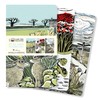 Angela Harding: Landscapes Set of 3 Mini Notebooks (Mini Notebook