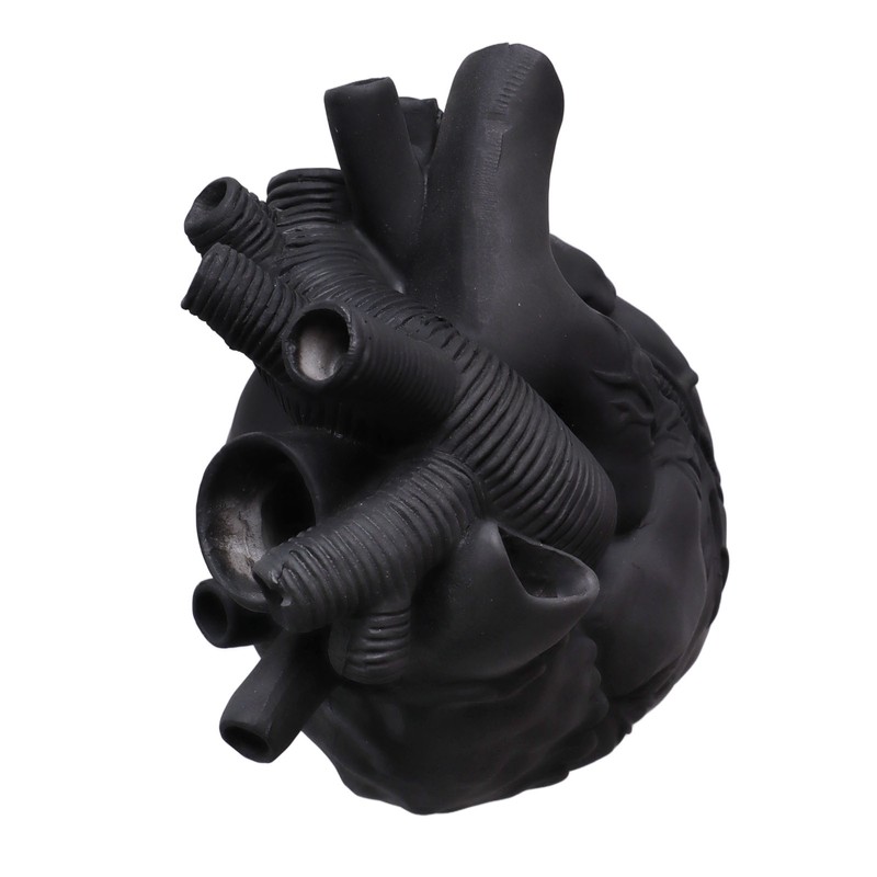 Creative Anatomical Heart Vases Resin Sculpture Heart Shaped Art Flower