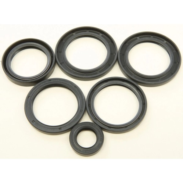 All Balls - 25-2062-5 - Differential Seal Only Kit