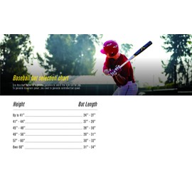 Easton 2018 USSSA Beast X Senior League Baseball Bat 2 3/4 (-10), 30/20 oz