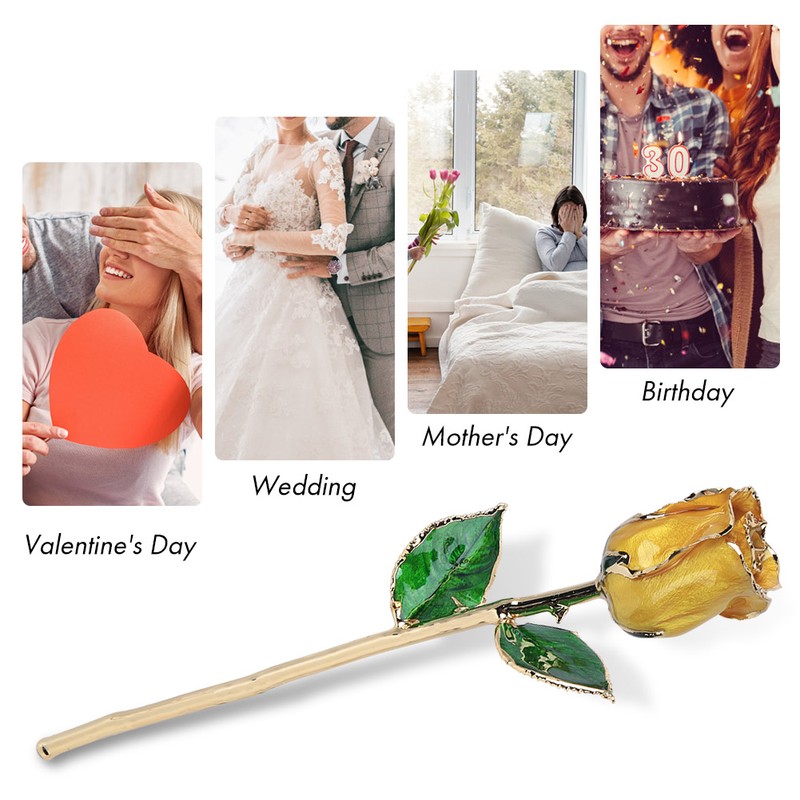 Golded Rose Flower Yellow 24K with Base Gift Decoration for