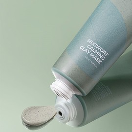 Isntree [Isntree]*renewal* Real Mugwort Clay Mask 100ml