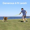 Pawtitas 6 FT Pet Puppy Leash Reflective Dog Leash Comfortable