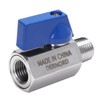DERNORD 1/4 Inch Mini Ball Valve Stainless Steel Female x