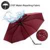 Nollia Windproof Automatic Travel Umbrella, Compact Portable with Reinforced Ribs