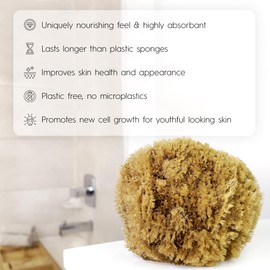 Naroa Esponja de mar natural para bañarse, esponja exfoliante corporal de ducha sin blanquear, esponja de baño exfoliante suave para una piel saludable, esponja renovable ecológica sin plástico para hombres y mujeres (mediana)