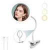 6.5" Clip On Gooseneck Makeup Vanity Mirror with Light, Gooseneck