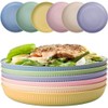 Taasmoog Pack of 6 Plates, Unbreakable & Robust Dinner Plates,